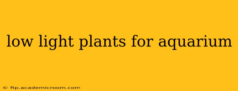 low light plants for aquarium