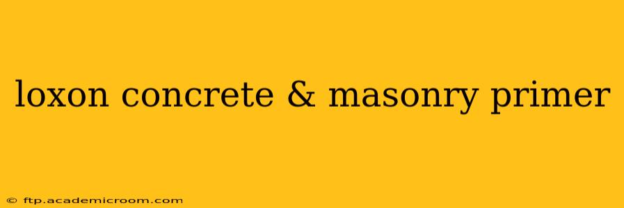 loxon concrete & masonry primer