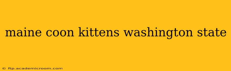 maine coon kittens washington state