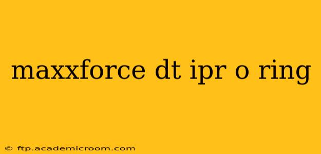maxxforce dt ipr o ring