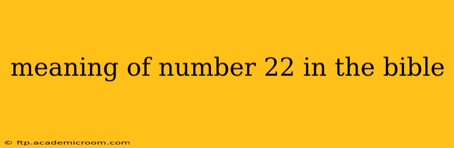 meaning of number 22 in the bible