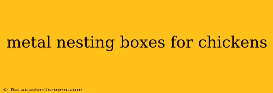 metal nesting boxes for chickens