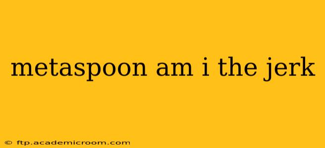 metaspoon am i the jerk