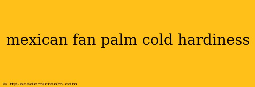 mexican fan palm cold hardiness