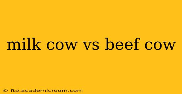 milk cow vs beef cow