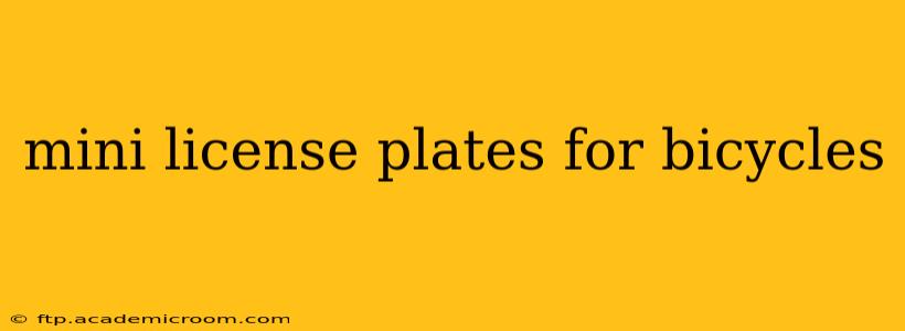 mini license plates for bicycles