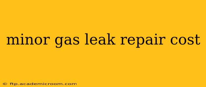 minor gas leak repair cost