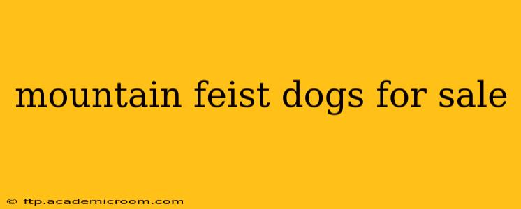 mountain feist dogs for sale