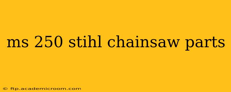 ms 250 stihl chainsaw parts