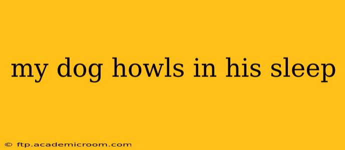 my dog howls in his sleep