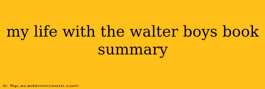 my life with the walter boys book summary
