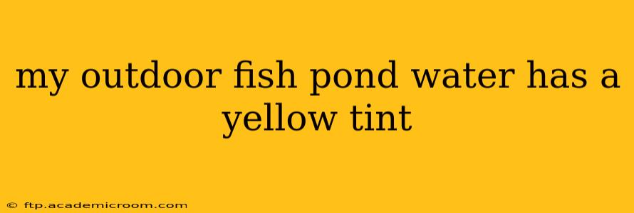 my outdoor fish pond water has a yellow tint
