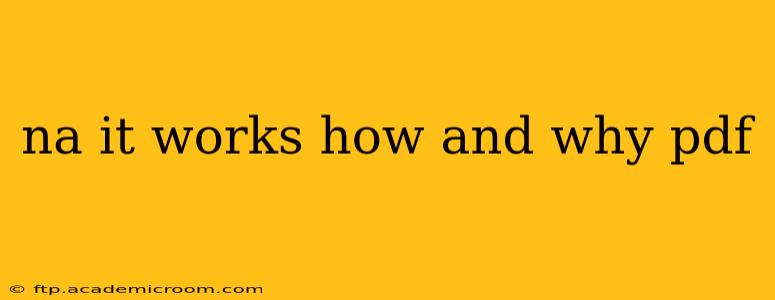 na it works how and why pdf