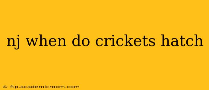 nj when do crickets hatch