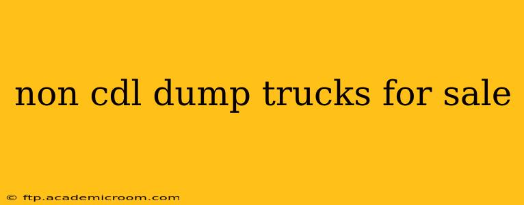 non cdl dump trucks for sale