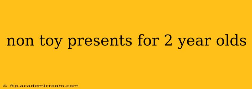 non toy presents for 2 year olds