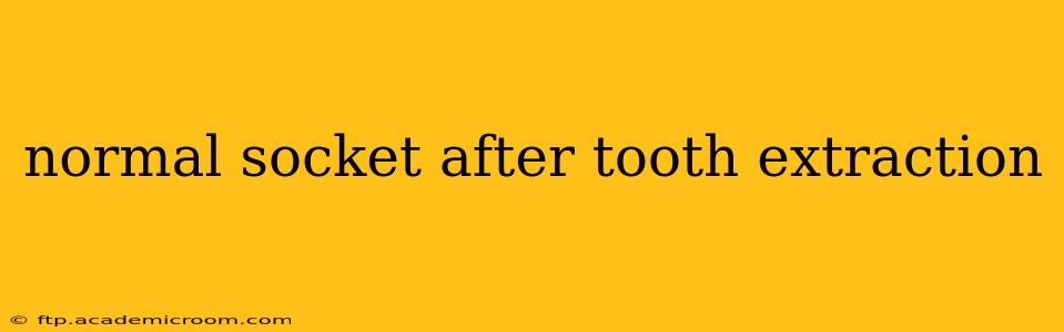 normal socket after tooth extraction