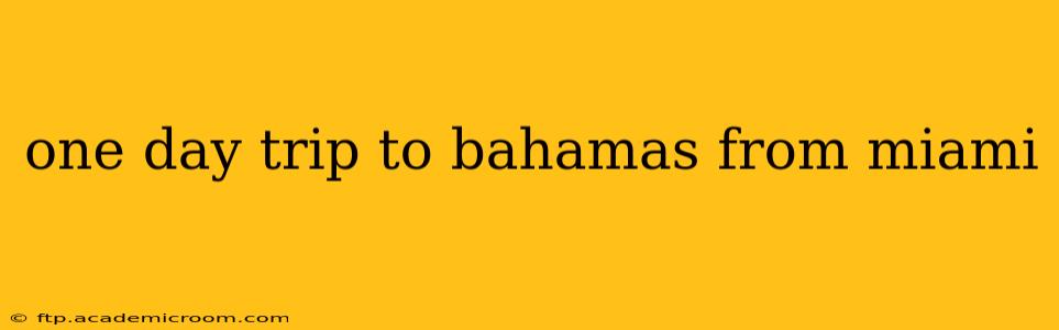 one day trip to bahamas from miami