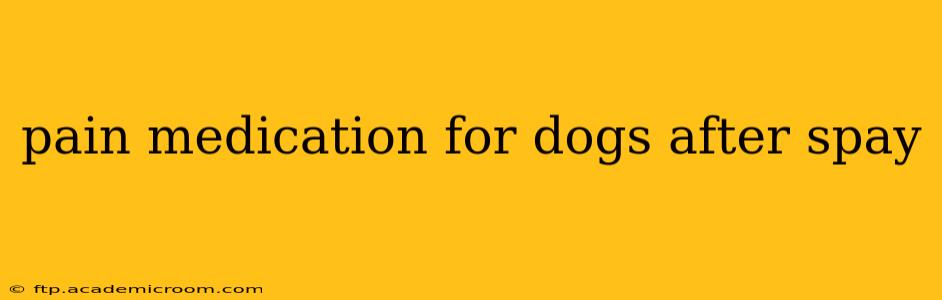 pain medication for dogs after spay