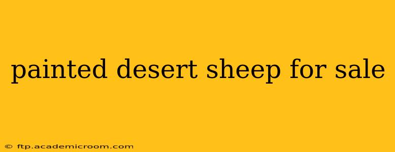 painted desert sheep for sale