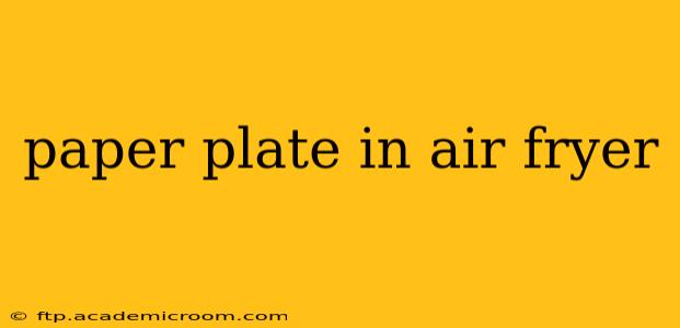 paper plate in air fryer