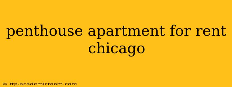 penthouse apartment for rent chicago