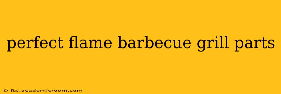perfect flame barbecue grill parts