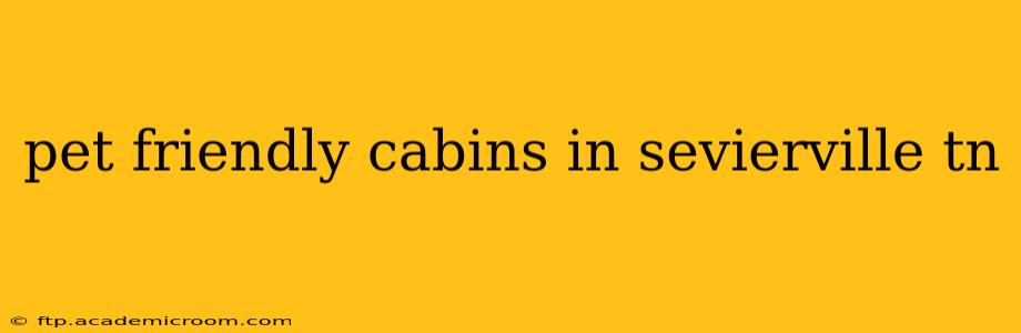 pet friendly cabins in sevierville tn