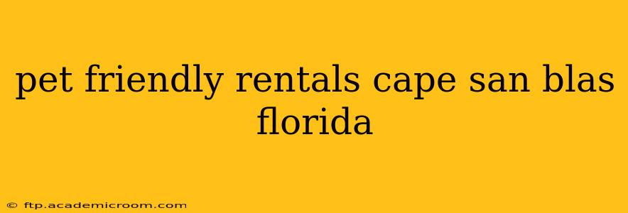 pet friendly rentals cape san blas florida