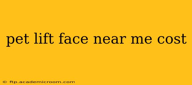 pet lift face near me cost