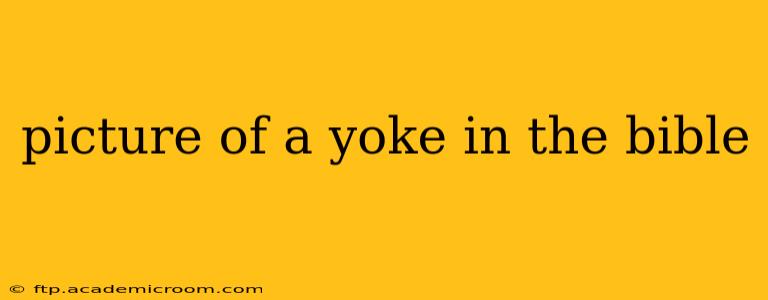 picture of a yoke in the bible