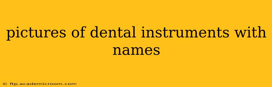 pictures of dental instruments with names