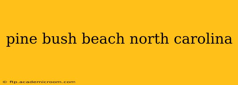 pine bush beach north carolina