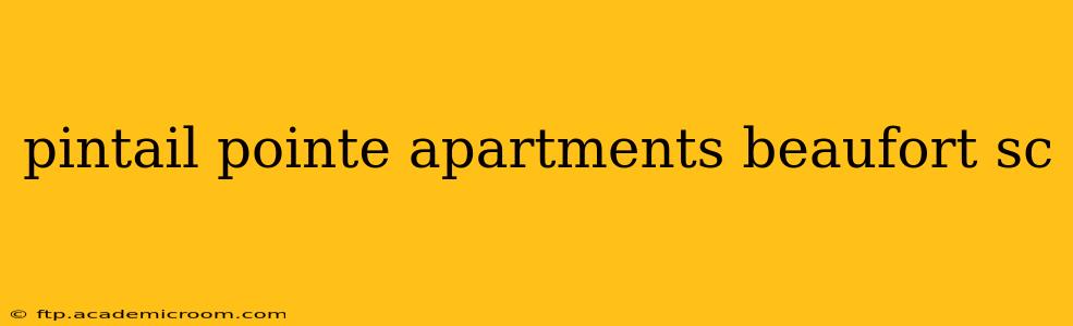 pintail pointe apartments beaufort sc