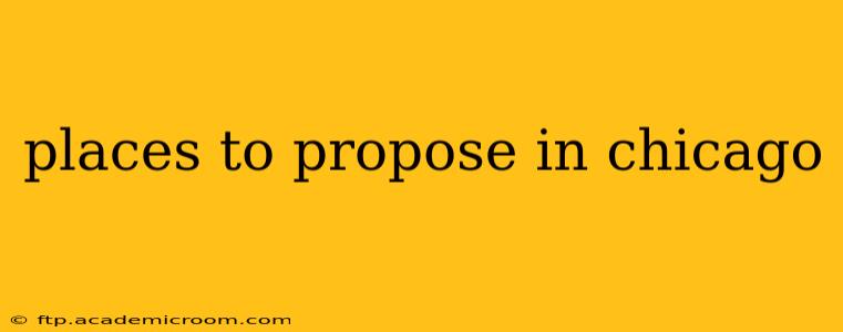 places to propose in chicago