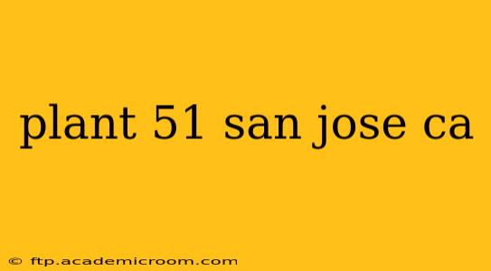 plant 51 san jose ca