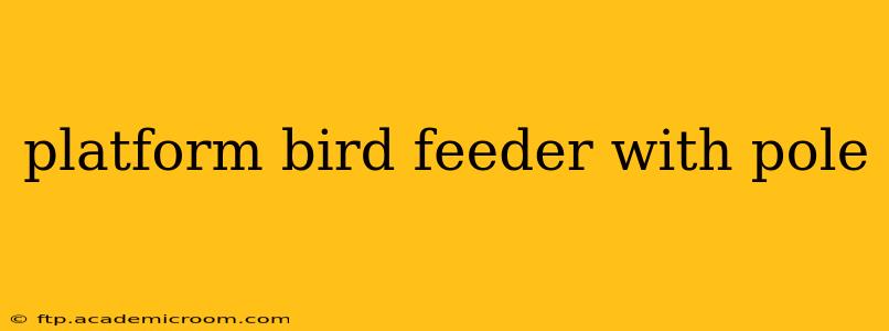 platform bird feeder with pole
