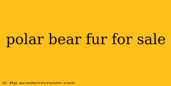 polar bear fur for sale