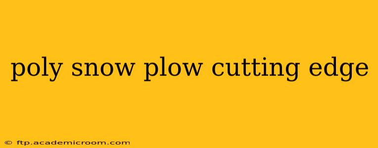 poly snow plow cutting edge