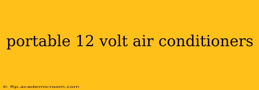 portable 12 volt air conditioners