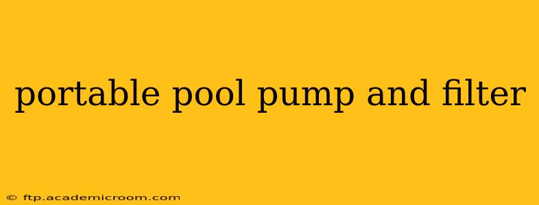 portable pool pump and filter