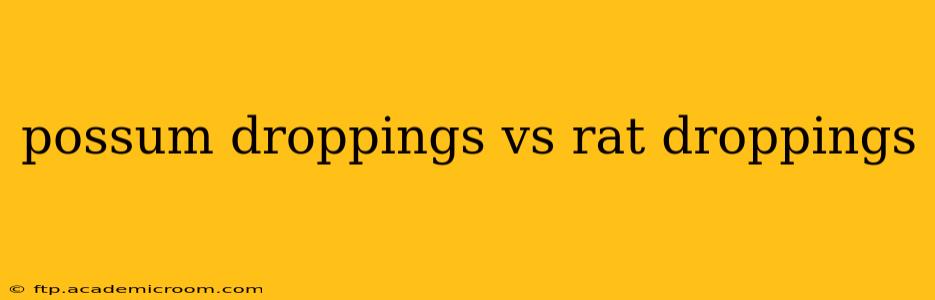 possum droppings vs rat droppings