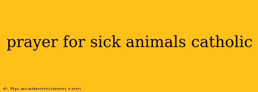 prayer for sick animals catholic