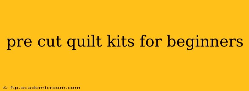 pre cut quilt kits for beginners