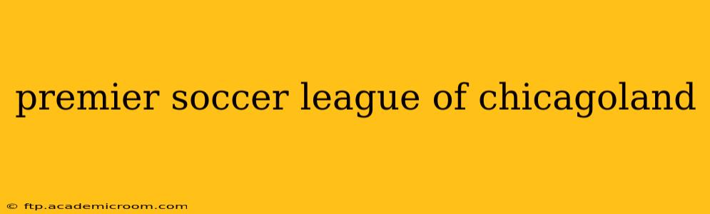 premier soccer league of chicagoland