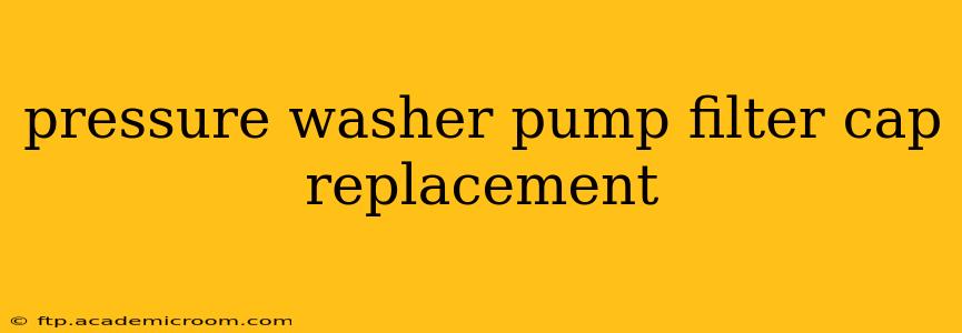 pressure washer pump filter cap replacement