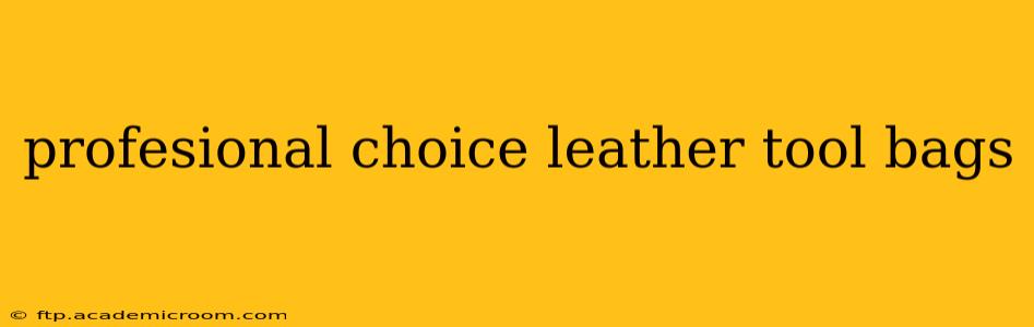 profesional choice leather tool bags
