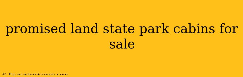 promised land state park cabins for sale