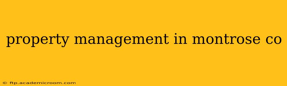 property management in montrose co
