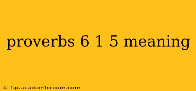proverbs 6 1 5 meaning